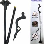 Posture Cane