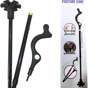 Posture Cane