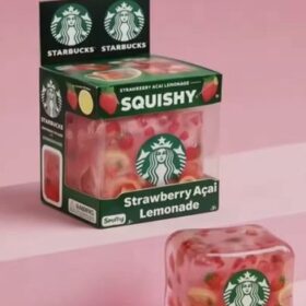 STARBUKES NEE DOH